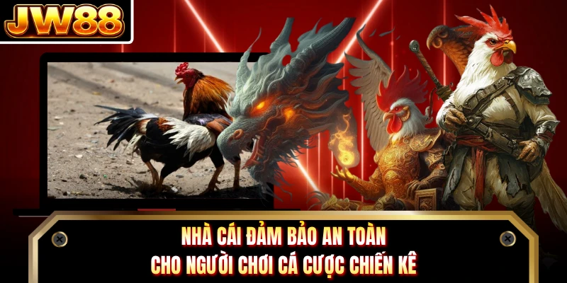 Nhà cái đảm bảo an toàn cho người chơi cá cược chiến kê